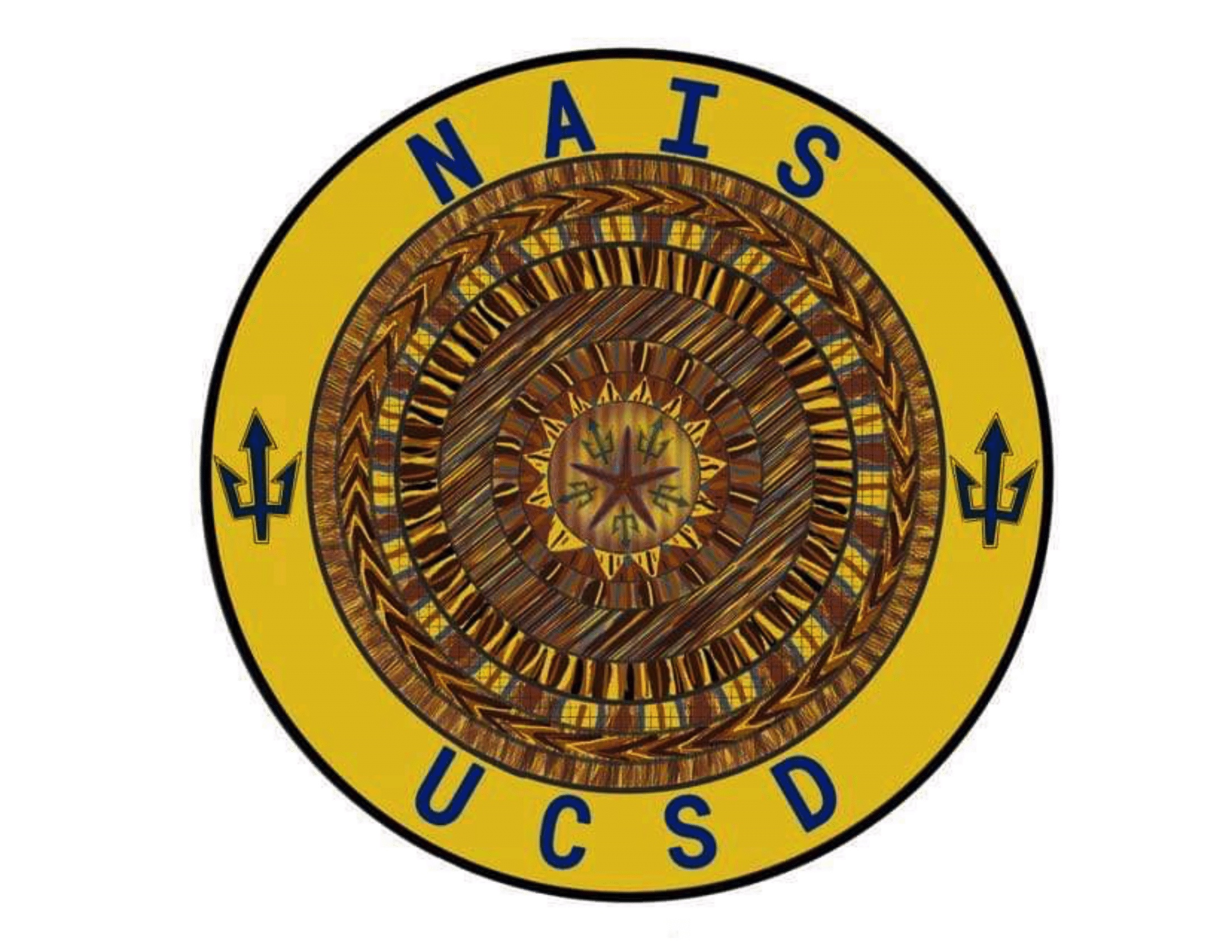 NAIS-logo.jpg